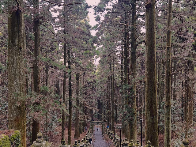 ASO