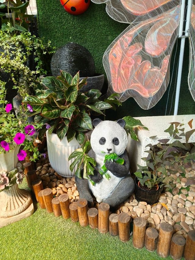 Succulent Paradise in Hong Kong – Budget-Friendly Find