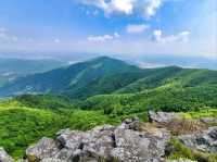 Hidden Forest Feels at Choamsan