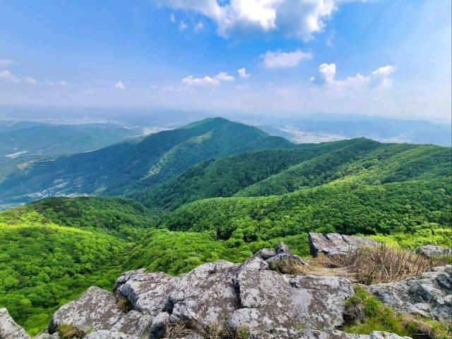 Hidden Forest Feels at Choamsan