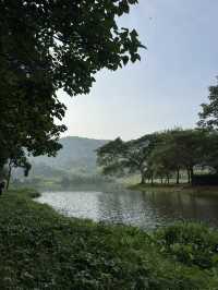 Getting lost in the Lost World of Tambun