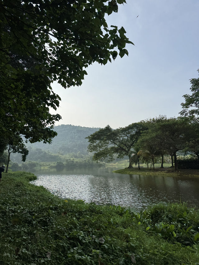 Getting lost in the Lost World of Tambun