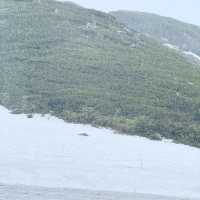 หิมะครั้งแรกของฉัน ณ กำแพงหิมะ Murodo Snow Wall 