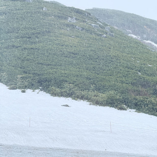 หิมะครั้งแรกของฉัน ณ กำแพงหิมะ Murodo Snow Wall 