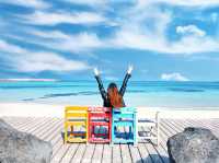 Woljeongri Beach Vibes 🌊☕ – Chill Days in Jeju