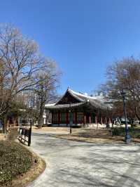 Daegu – เมืองเงียบ ๆ แต่เท่ มีอะไรให้ค้นหาเพียบ!