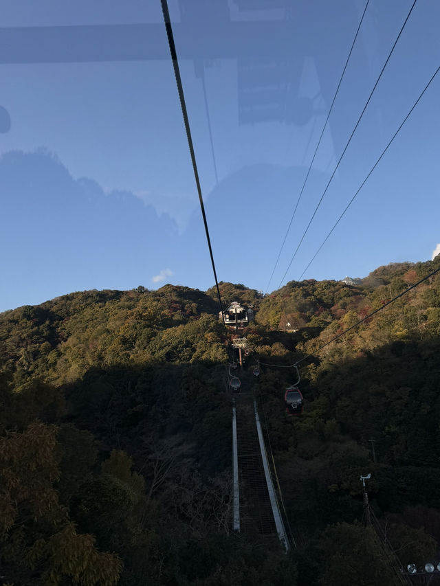 【兵庫🇯🇵】山の上でクリスマスマーケット？！🎄