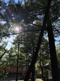 縁結びの聖地へ🌿氣多大社で心を整える神社旅