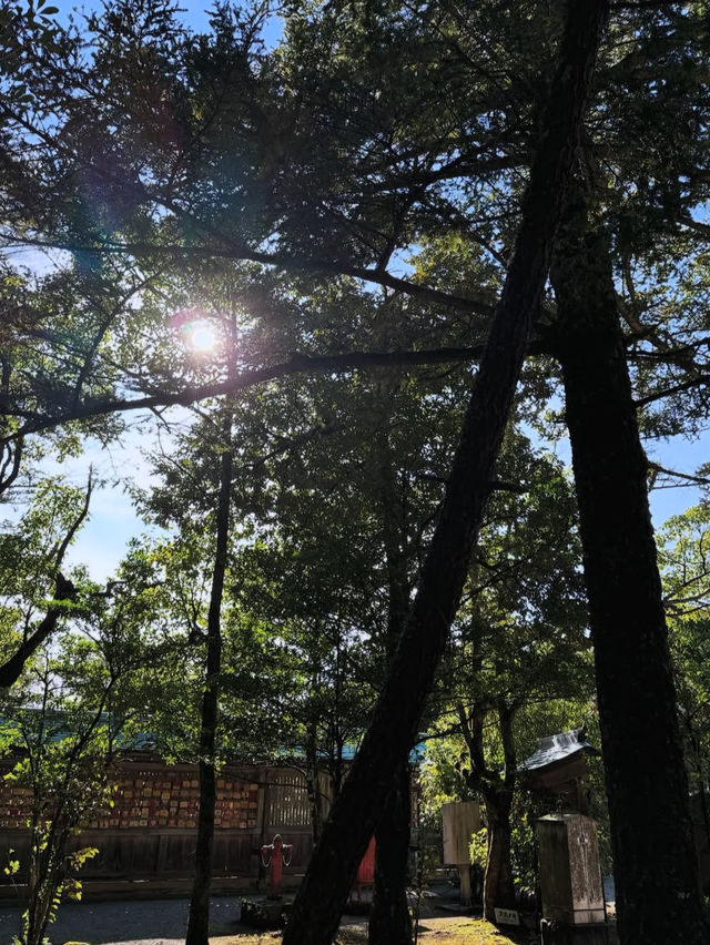 縁結びの聖地へ🌿氣多大社で心を整える神社旅