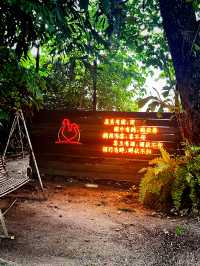 Jiang Hu Wok Warriors Thai Cuisine – A Summery Hidden Gem Opposite Lam Wah Ee