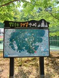 산골짜기 고요 속 돌사이로 피어난 가족의 꿈✨