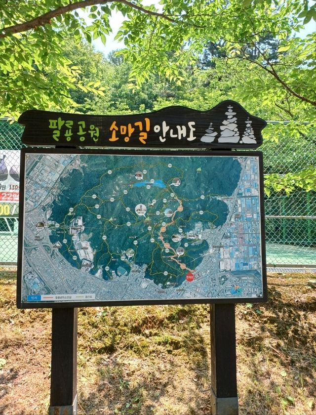 산골짜기 고요 속 돌사이로 피어난 가족의 꿈✨