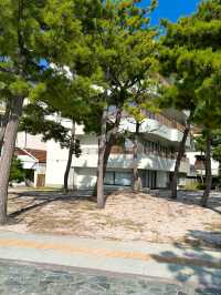 日本白濱温泉之旅