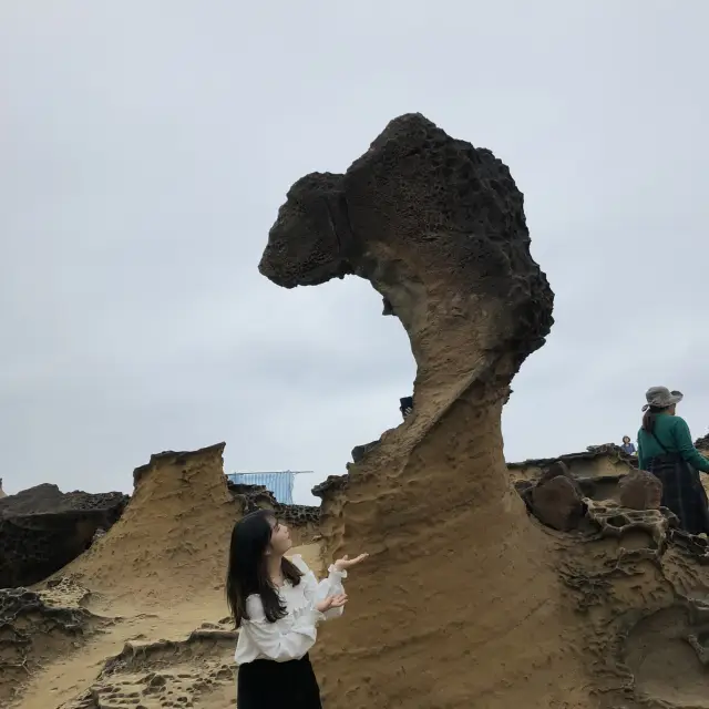 找一天時間去台灣野柳、十分、金瓜石、九份