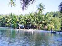 🌴 Siam Beach Resort, Koh Kood