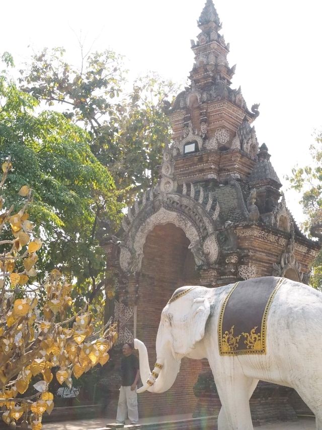 【晴れた日は写真映え間違いなし！】チェンマイのかっこいい寺院🇹🇭