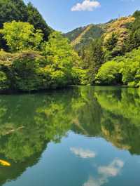 🌳三重｜真手公園（多気郡大台町）