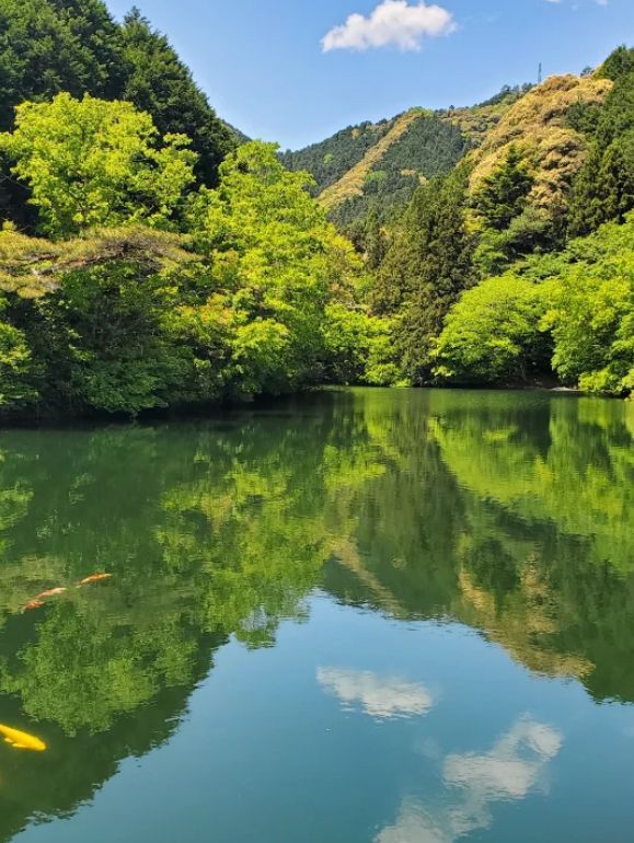 🌳三重｜真手公園（多気郡大台町）