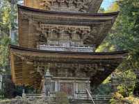 Wakasa Myōtsū-ji: A Journey to an 800-Year-Old National Treasure by Local Bus! 🚌🏯