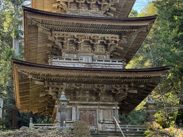 Wakasa Myōtsū-ji: A Journey to an 800-Year-Old National Treasure by Local Bus! 🚌🏯