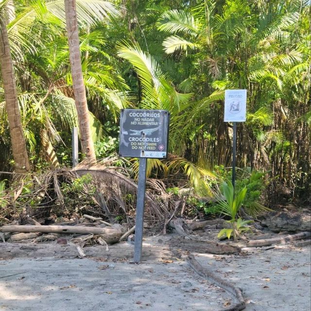 【コスタリカ】マヌエルアントニオ公園前ビーチ