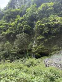 무릉 천생삼교 (Wulong Tian Sheng San Qiao) – 자연이 만들어낸 압도적 장관