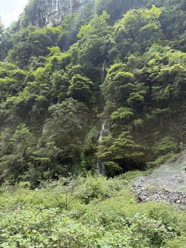 무릉 천생삼교 (Wulong Tian Sheng San Qiao) – 자연이 만들어낸 압도적 장관