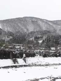 12月嘅觀雪之旅