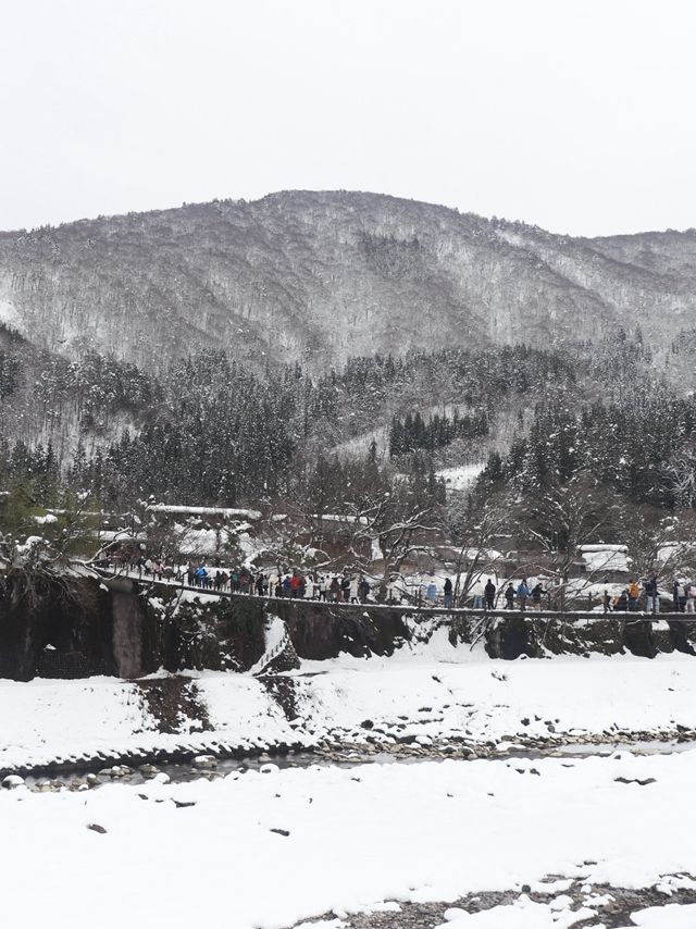 12月嘅觀雪之旅