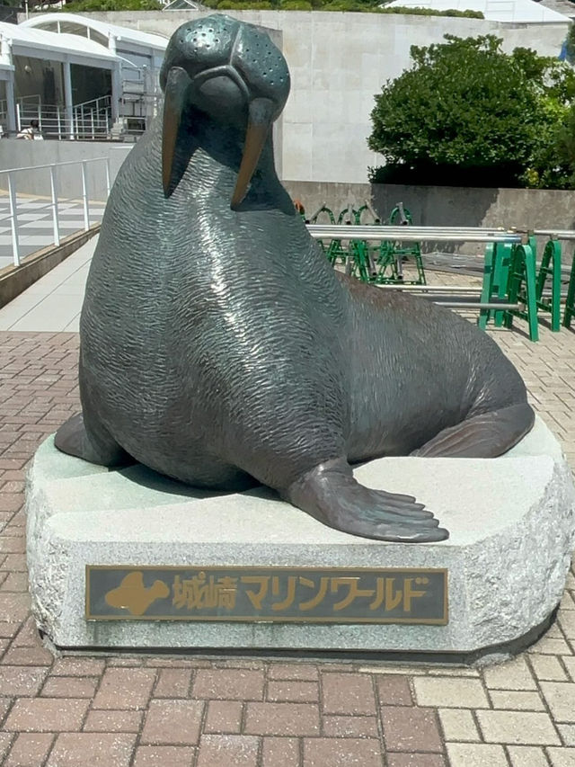 【城崎マリンワールド】海とつながる体験型水族館で、感動のひとときを🐟🎣