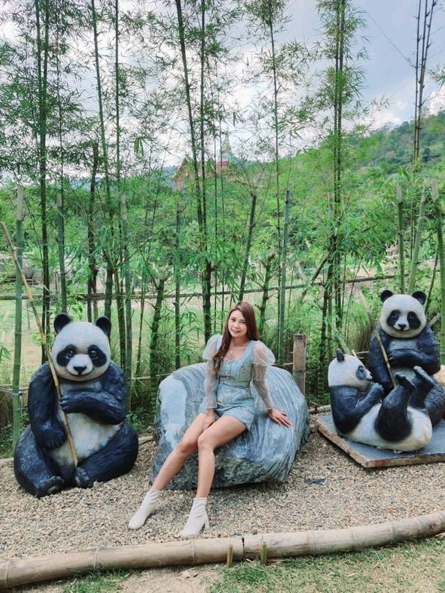 ชิราคาวาโกะ คาเฟ่ สวนผึ้ง