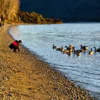 Sunset Serenade: Magical Moments at Lake Te Anau