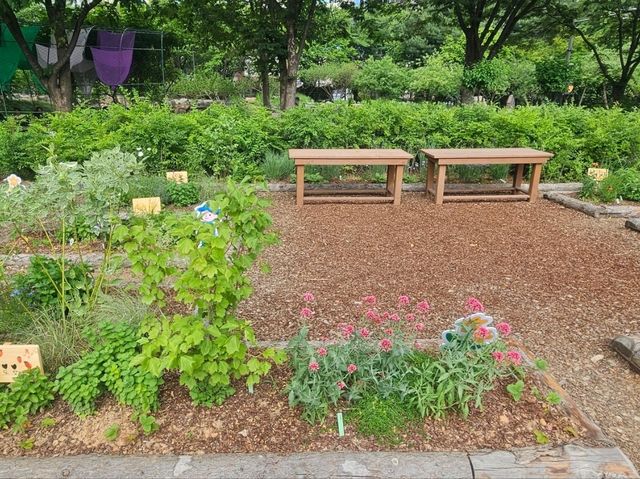 The flower festival at Boramae Park