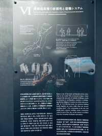 Starlit Osaka: A Night at Umeda Sky Building