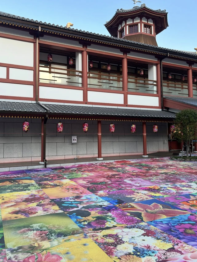 【道後ハイカラ通り】レトロとモダンが交差する、温泉街の小さな冒険🎀🚶‍♀️