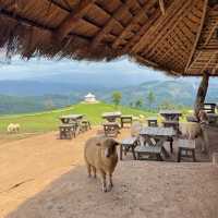 🌳🛖อาข่า ฟาร์มวิลล์ Akha Farmville 🪵🌾🐑
