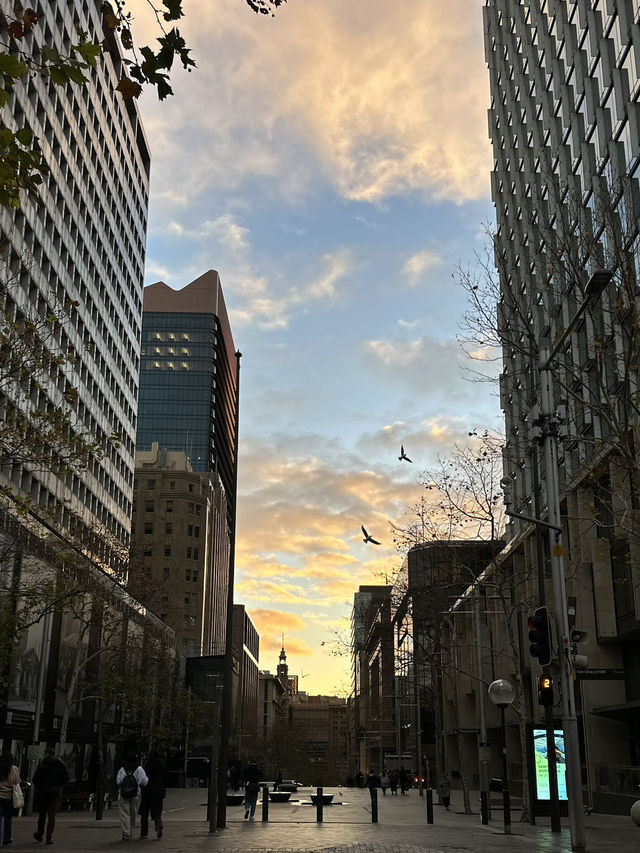 Just one day in Sydney - and I’m already in love!