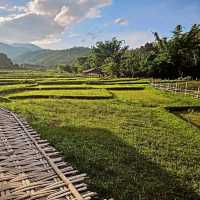 Bamboo Wonderland Stroll, Boon Ko Ku So