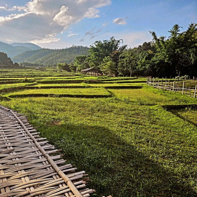 Bamboo Wonderland Stroll, Boon Ko Ku So