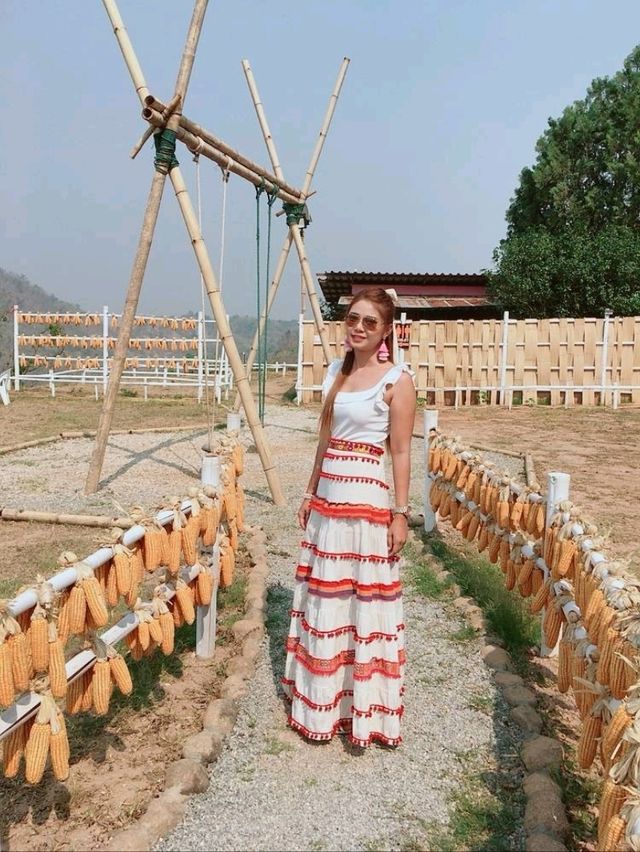 ไร่ชาวังพุดตาล เชียงราย