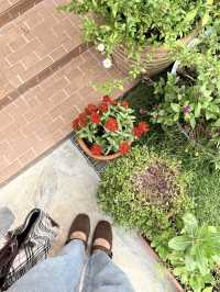 ที่พักศรีราชาและคาเฟ่สุดน่ารัก