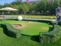 Sports on the green in WF Central Gardens