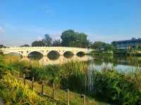 Picturesque view from the Harvest Moon Terrace