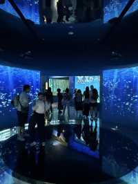 虛實交織的平行宇宙：桃園Xpark