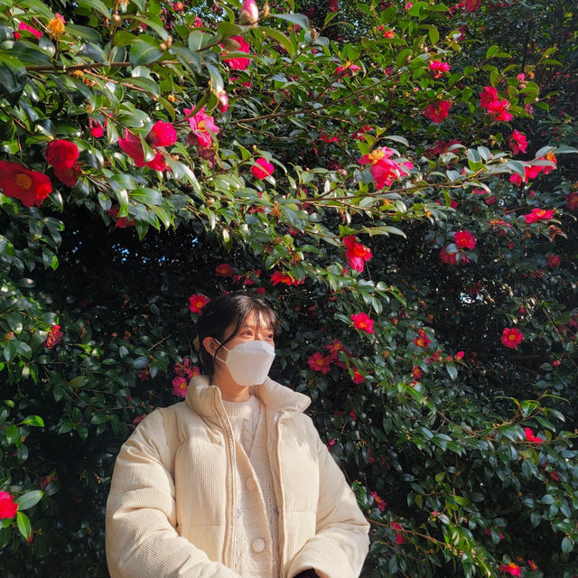 🍊✨“제주 4박5일 찐리뷰 – 무계획이 만든 인생여행 코스 총정리!”✨🍊