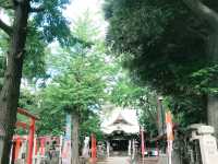 【雑司ヶ谷　鬼子母神　夏の朝の散歩】