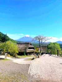 Healing Village by Mt. Fuji: Saiko Iyashi‑no‑Sato Nenba