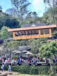 🌿 WTF Coffee Camp – คาเฟ่ริมน้ำสุดชิลในแม่ริม