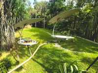 Venture into Mysterious Papua