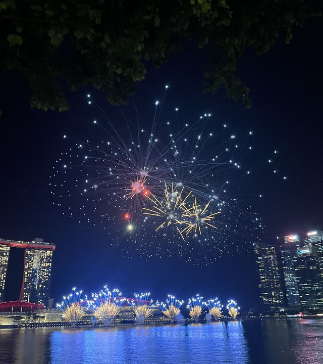    SINGAPORE NATIONAL DAY 🇸🇬  